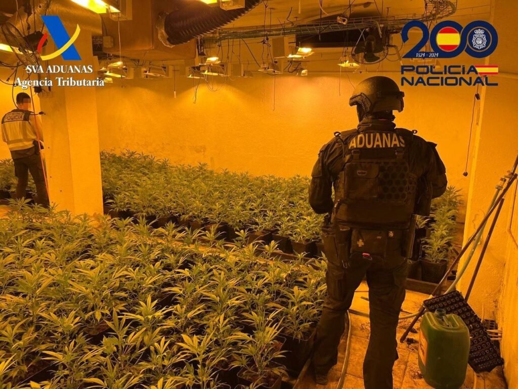 Un agente del Servicio de Vigilancia Aduanera en una plantación ilegal de marihuana